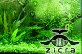 zicra