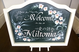 ミルトニアの集い男女の出会いの場を提供しています